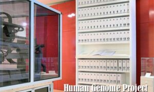 Human Genome Project