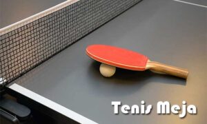 Sejarah Tenis Meja