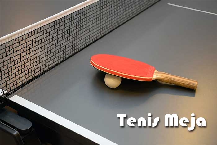 Sejarah Tenis Meja