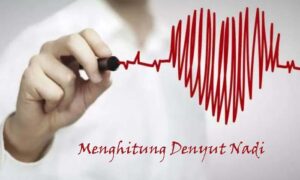 Cara Menghitung Denyut Nadi Sendiri