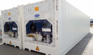 Kontainer Reefer Cargo