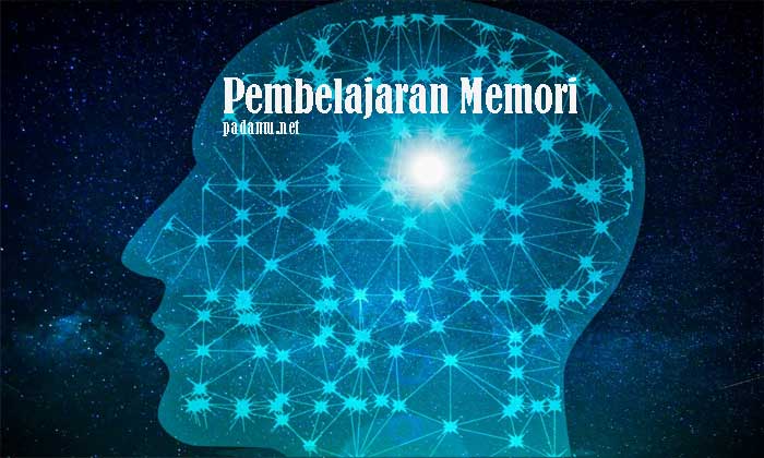 Jenis Pembelajaran Memori