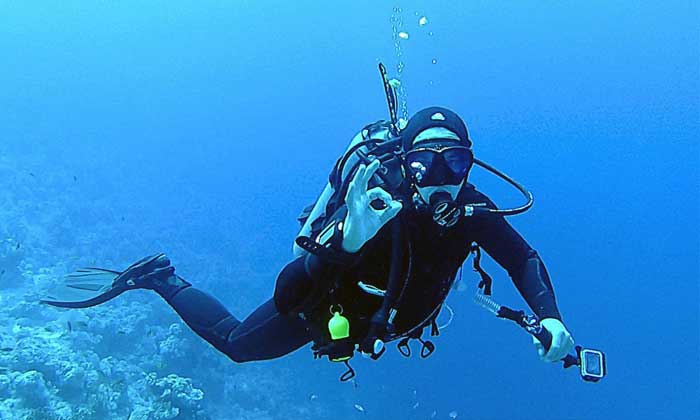 Pemahaman Dasar Olahraga Diving dan Tips Diving