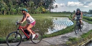 Tour Sepeda Bali di Ubud