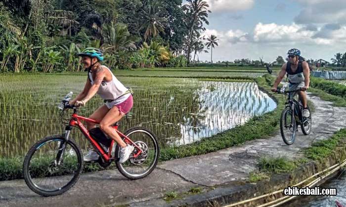 Tour Sepeda Bali di Ubud