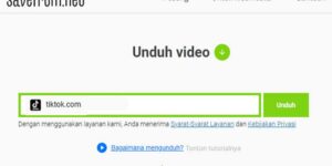 Pengunduh video online SaveFrom.Net