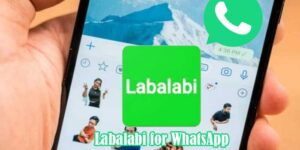 labalabi for whatsapp