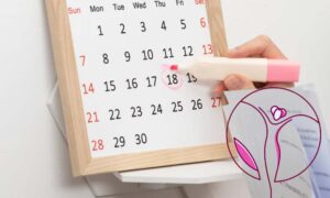 Kalkulator Masa Subur